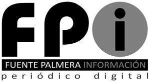 diseño web periodico digital fuente palmera